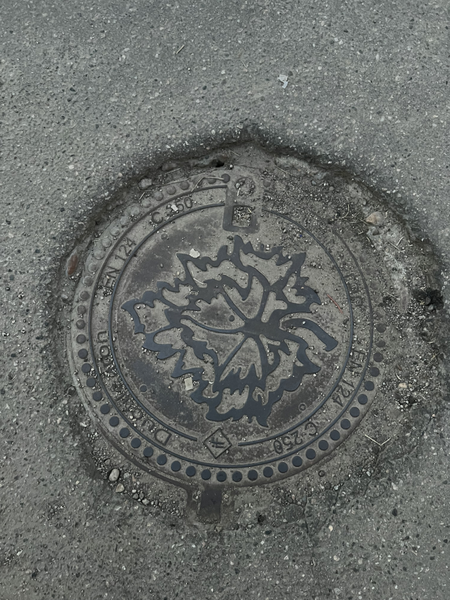 Image of Manhole